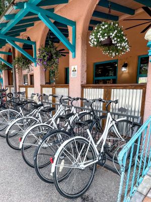 Buffalo Lodge outside with bikes